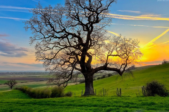 khouzestan nature