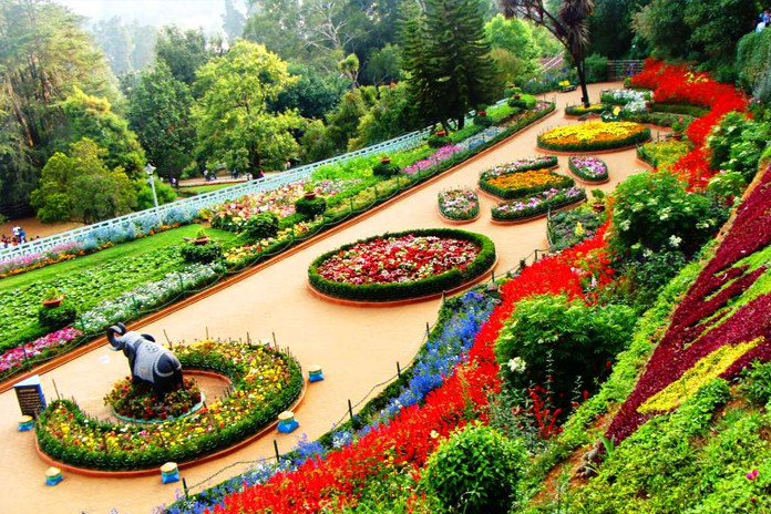 باغ گل رز بانکوک