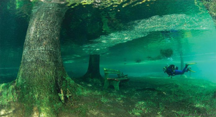 Grüner-Lake-underwater12 دریاچه سبز