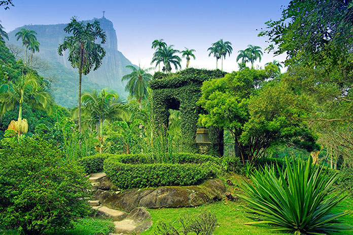 باغ گیاه شناسی جاردیم - شهر ریو دو ژانیرو