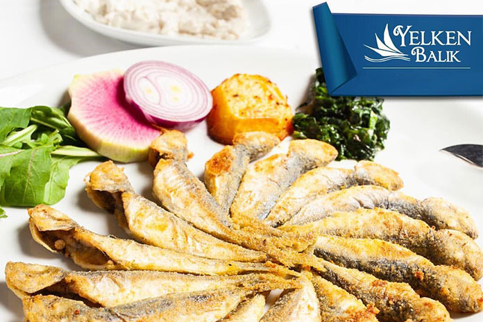 ماهی کبابی - غذاهای آنکارا