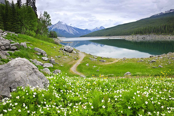  کشف طبیعت در سفر به کانادا