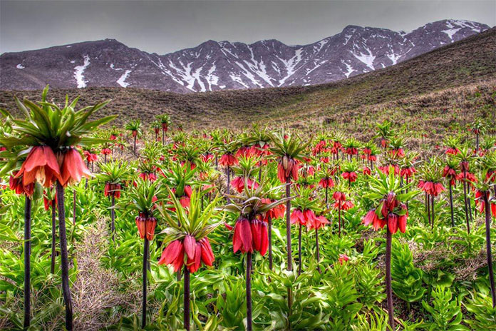 کوهرنگ - سفر در تابستان