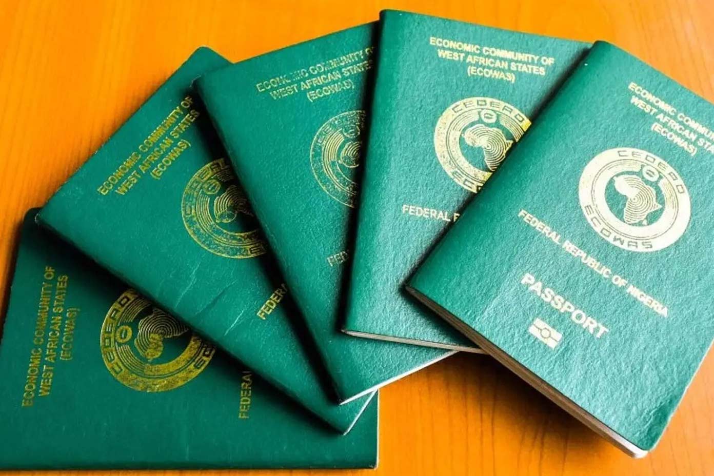 علت تفاوت رنگ پاسپورت کشورها