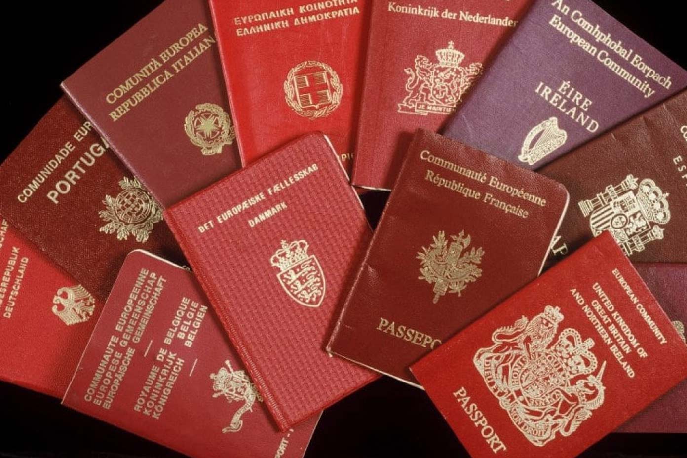 انواع رنگ بندی پاسپورت ها و تفاوت آن‌ها
