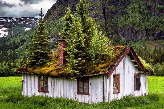 کلبه متروک نروژی، احیا شده توسط طبیعت