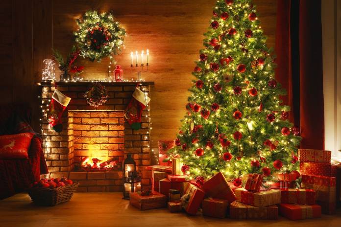 Christmas celebration History and customs