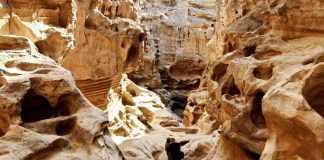 جاهای دیدنی قشم با عکس و آدرس