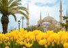 بهترین فستیوال های ترکیه
