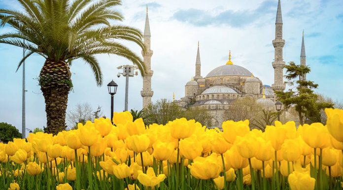 بهترین فستیوال های ترکیه
