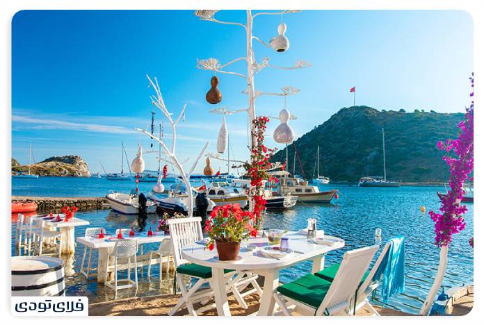 راهنمای سفر به کوش آداسی | جزیره پرنده