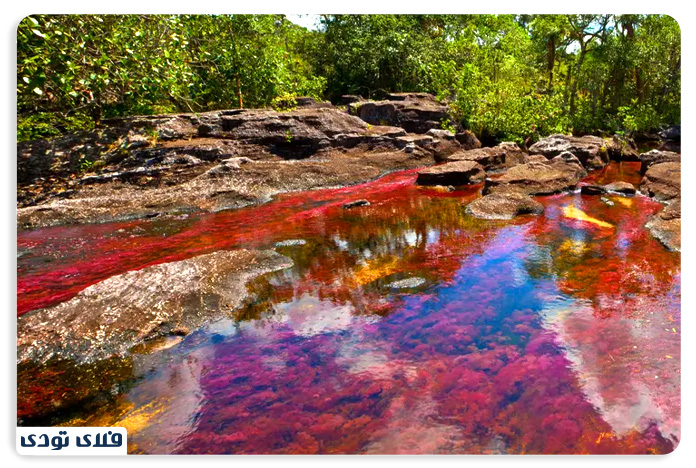 river of colors colombia