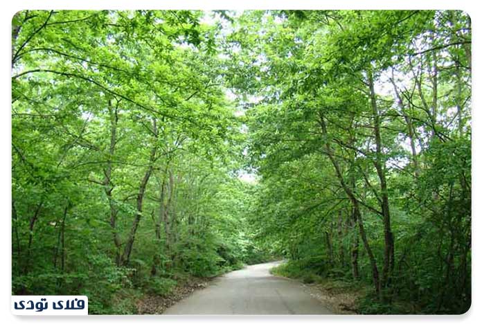 دیدنی های اطراف رشت
