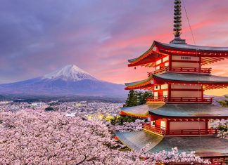 هر آنچه باید درباره سفر به توکیو بدانید