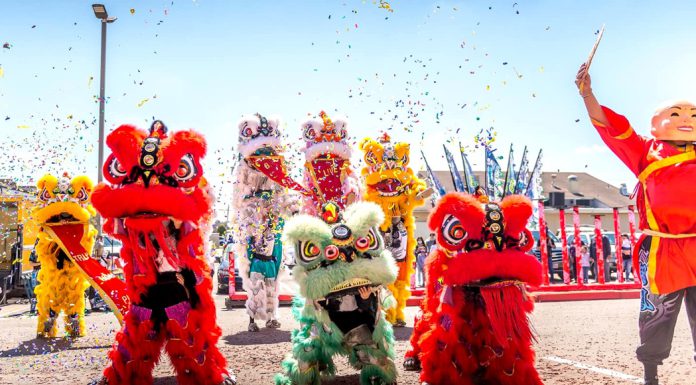 سال نوی چینی