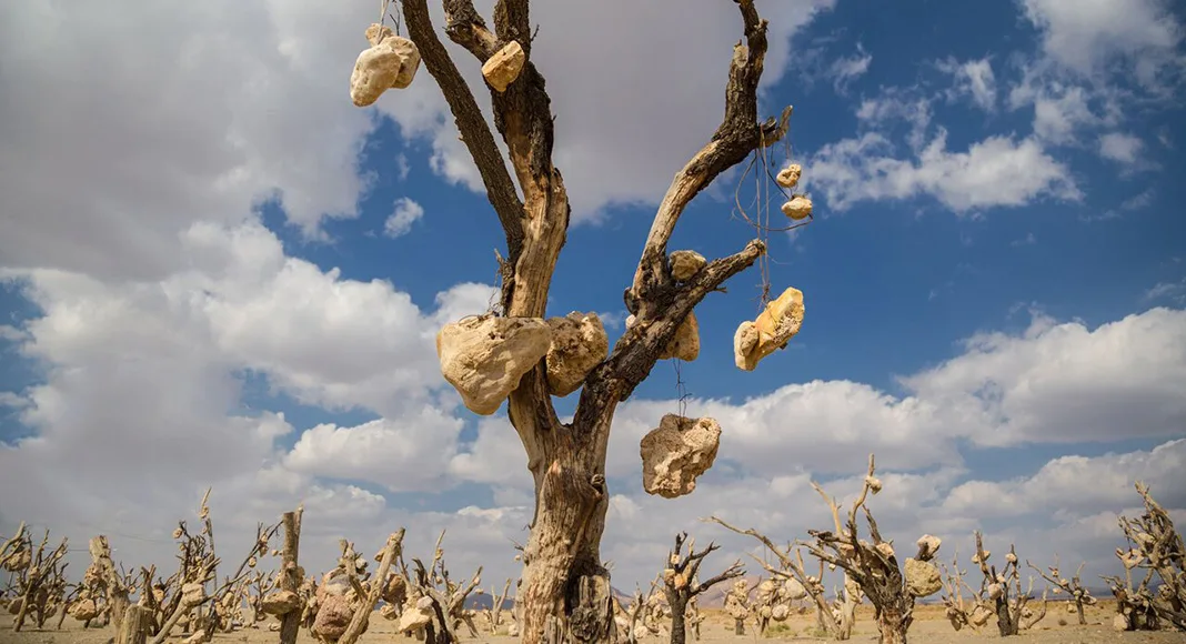 جاهای باورنکردنی ایران جاهای باورنکردنی ایران