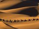 وسیع ترین و بزرگترین بیابان و صحرا های دنیا