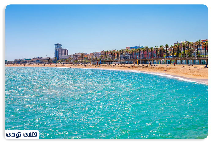 ساحل بارسلونتا | barceloneta beach