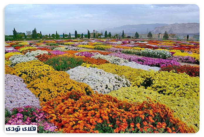 دهکده گل و گیاهان زینتی محلات