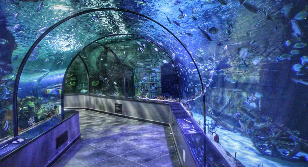 best-aquarium-in-iran (1)