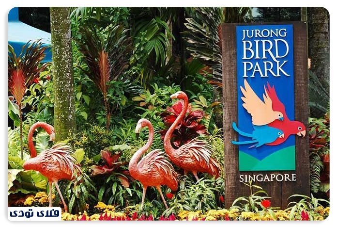 باغ پرندگان | از بزرگترین باغ پرندگان آسیا