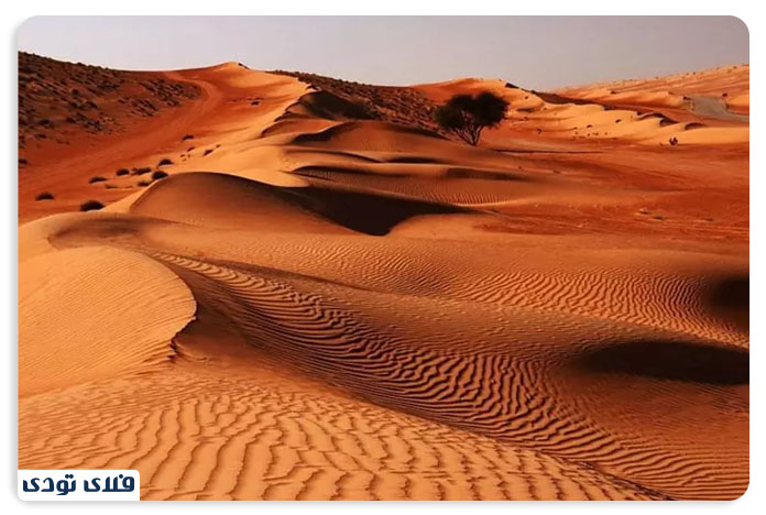 جاهای دیدنی سمنان | تجربه همزمان کویر و جنگل!