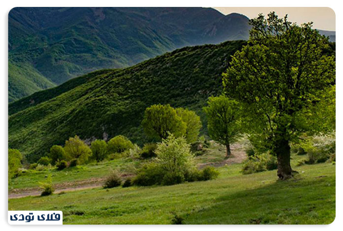 جاهای دیدنی سمنان | تجربه همزمان کویر و جنگل!
