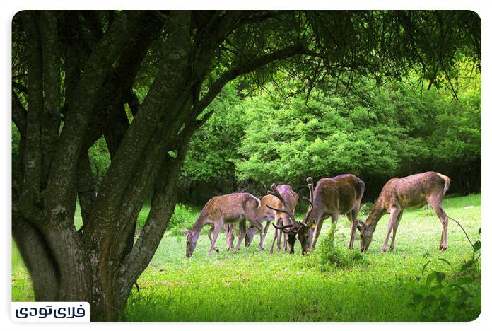 این جاهای دیدنی تبریز را از دست ندهید