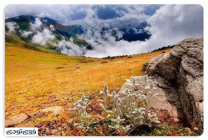 جاهای دیدنی رامسر | جواهری در خطه شمال