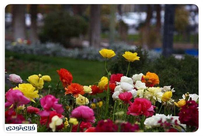 جاهای دیدنی سنندج | از طبیعت تا تاریخ