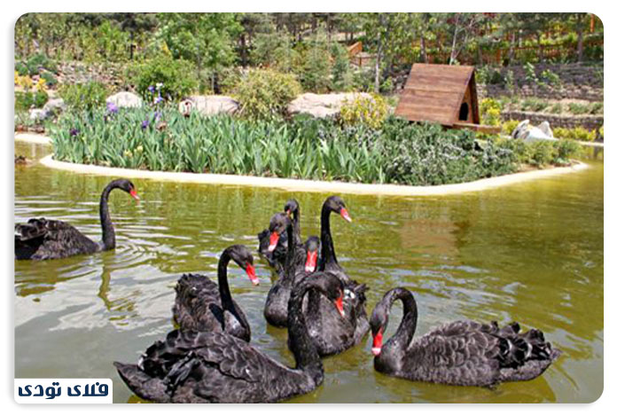 باغ پرندگان تهران3