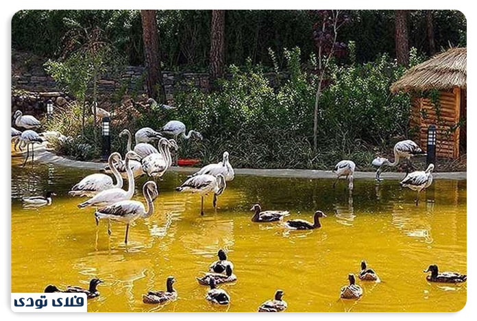 باغ پرندگان تهران7