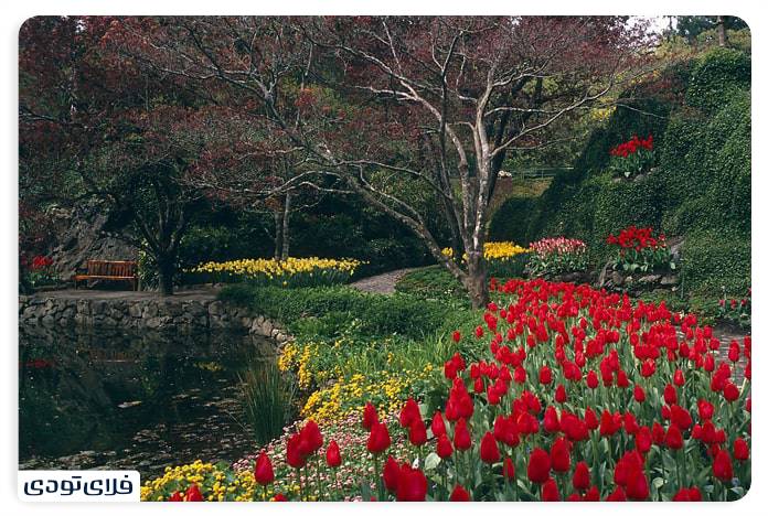 جاهای دیدنی کانادا, بهترین جاهای دیدنی کانادا بهترین جاهای دیدنی کانادا | سرزمین درختان افرا
