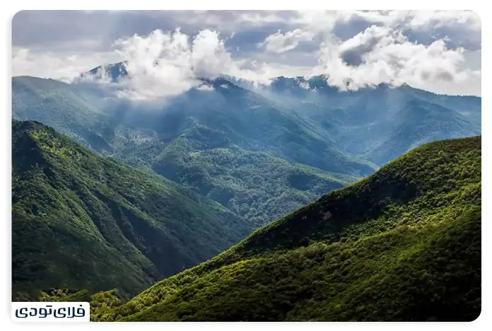 جنگل ابر مسیر دسترسی جنگل ابر