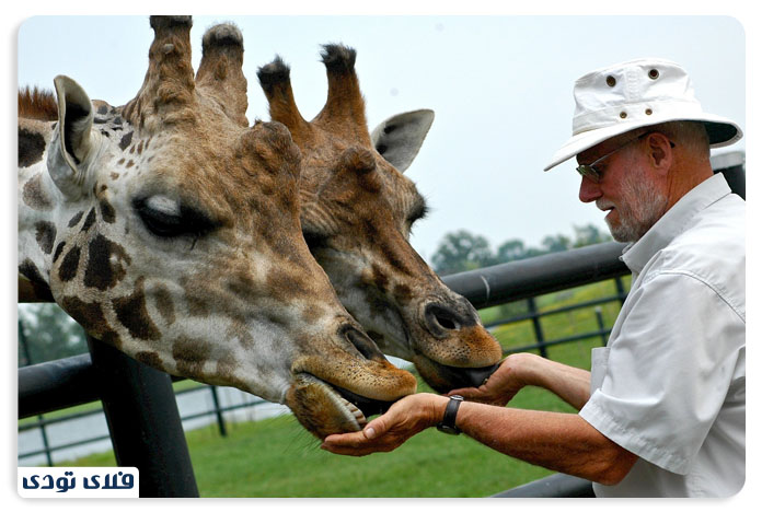 آبشار نیاگارا و جاذبه های اطراف آن
