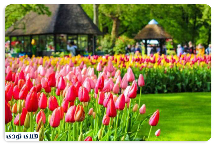 باغ های معروف آمستردام