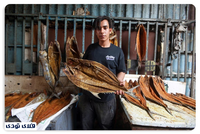 بازار ماهی فروش ها در بصره