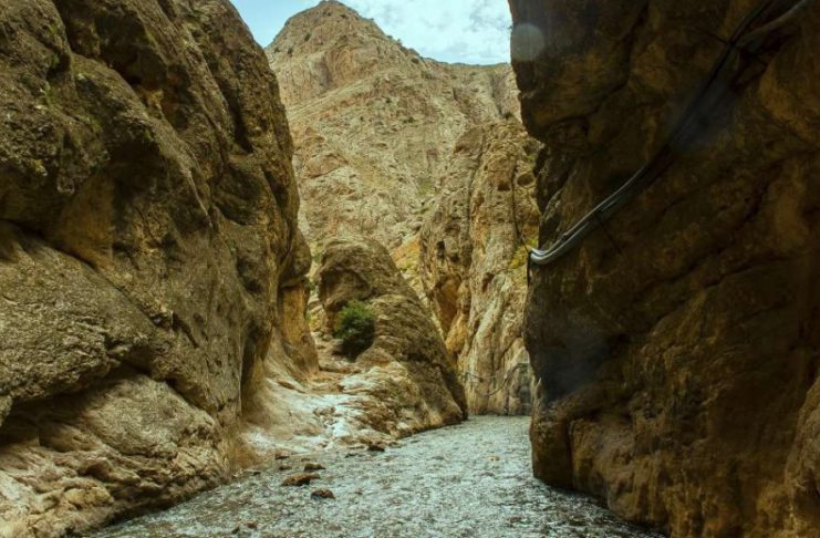 تنگه واشی
