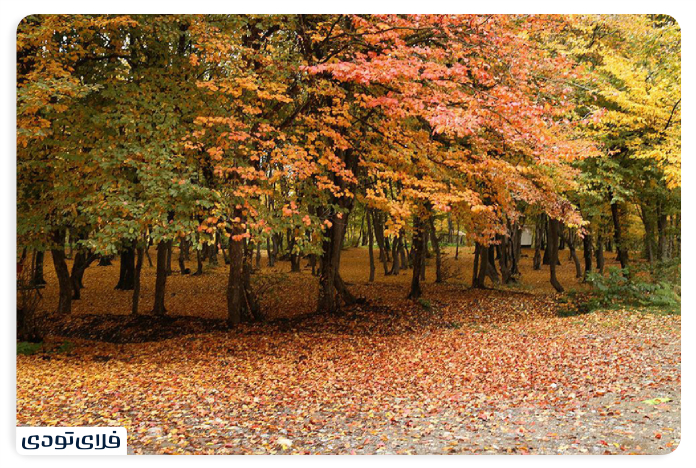 جاهای دیدنی گرگان پارک جنگلی قرق