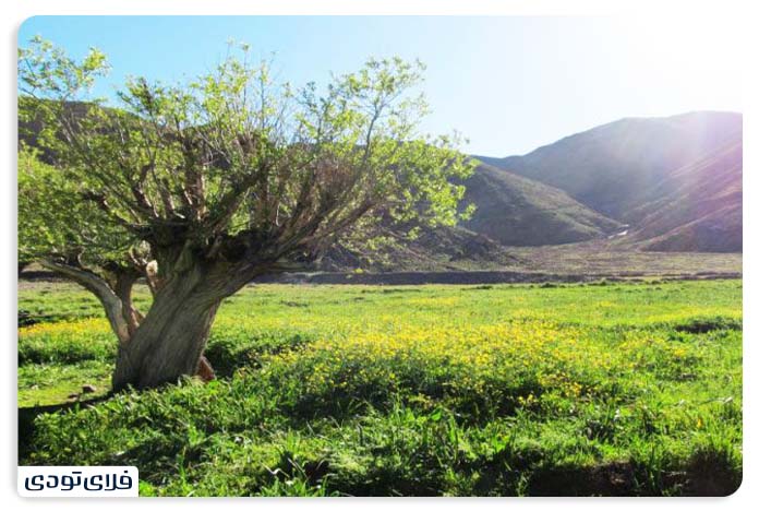 جاهای دیدنی مریوان جاهای دیدنی مریوان که باید آنها را بشناسید!