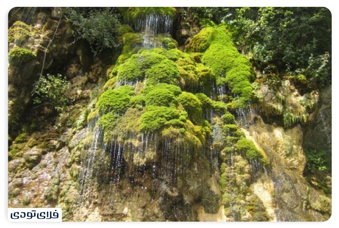 جاهای دیدنی نور جاهای دیدنی نور مازندران