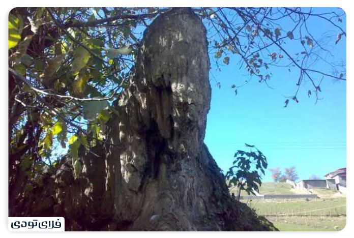 جاهای دیدنی نور آبشار سواسره