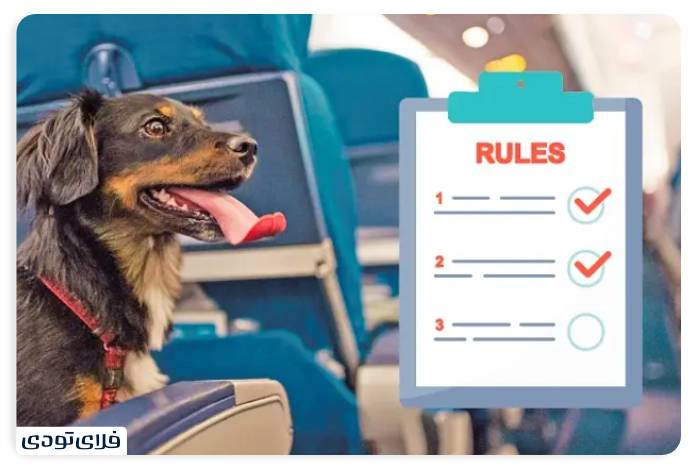 هر آنچه باید درباره فرودگاه بین المللی دبی بدانید