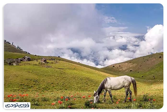 ییلاق سوباتان