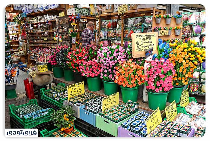 بهترین جاهای دیدنی هلند کجا هستند؟