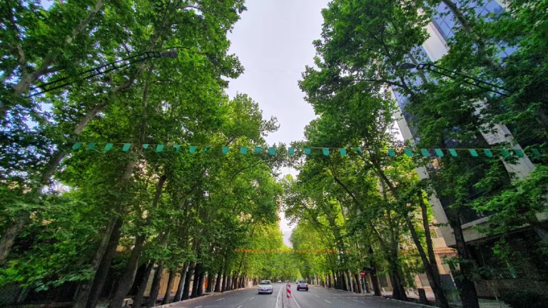 خیابان ولیعصر تهران