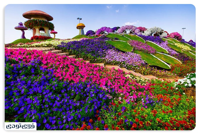 باغ معجزه، از زیباترین جاهای دیدنی دبی برای بچه‌ها
