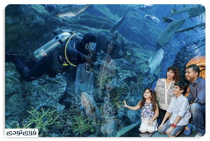 آکواریوم دبی مال و باغ وحش زیر آب، از جذابترین جاهای دیدنی دبی برای کودکان