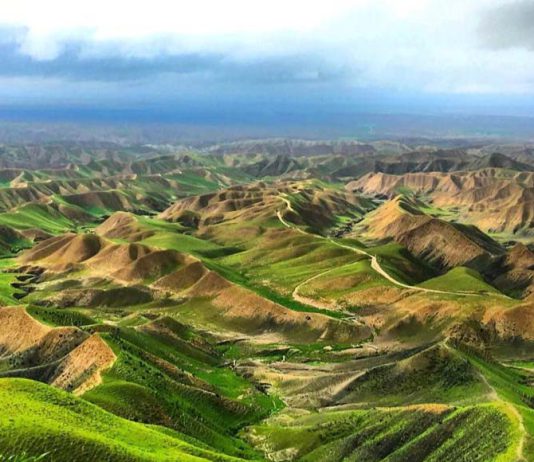 ترکمن صحرا کجاست