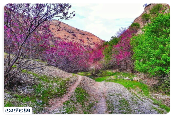 بهترین جاهای دیدنی مشهد که نباید از دست داد!